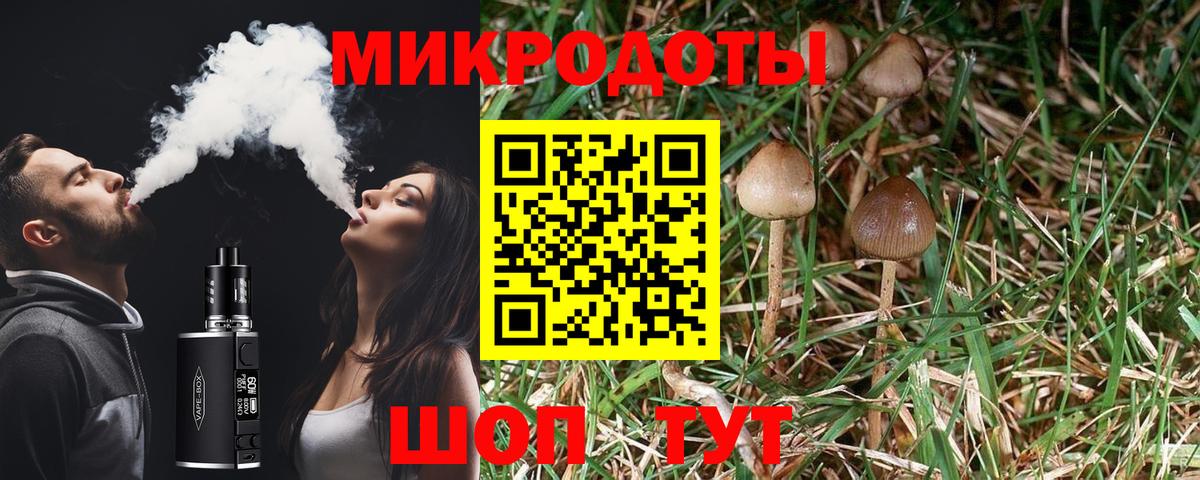 Галлюциногенные грибы ЛСД Сланцы