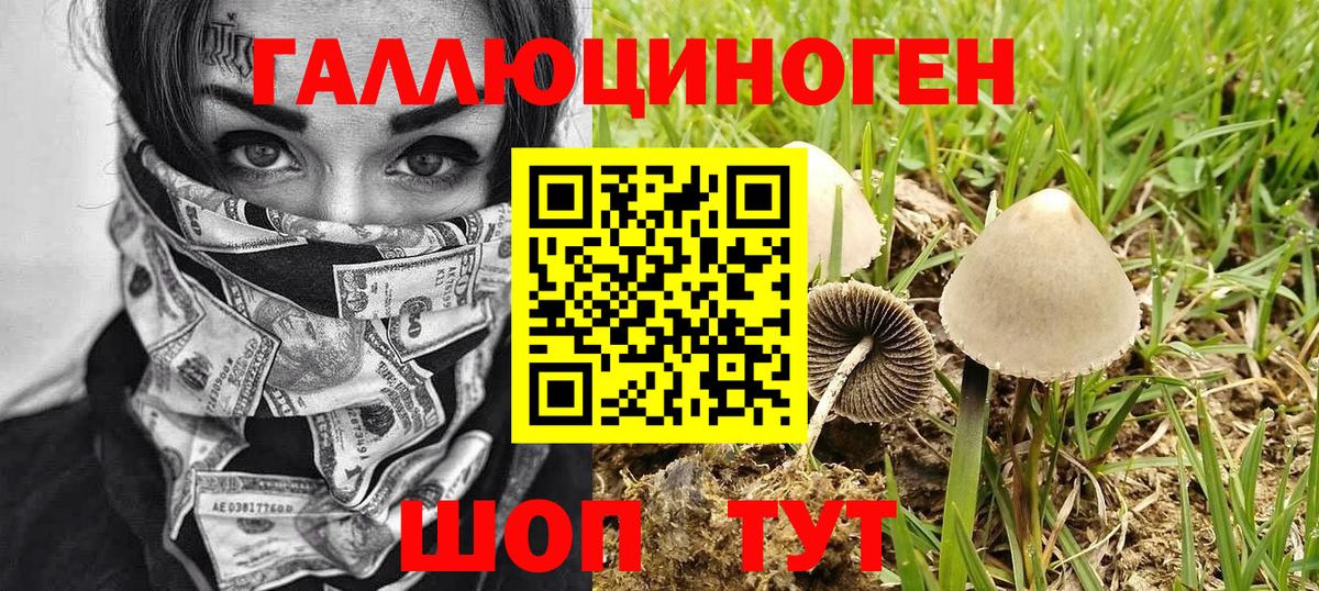 Сланцы  Псилоцибиновые грибы Magic Shrooms  Вход с VPN 
